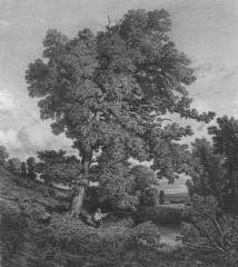 034_11593_25_a-_anastazi_