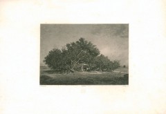 11593_58