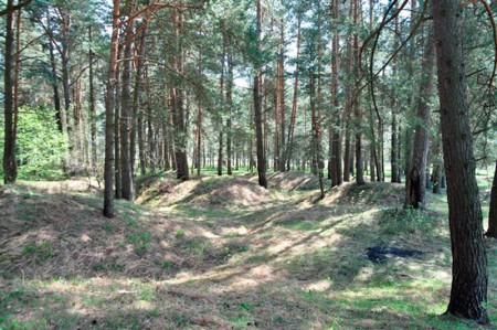 kurgan_lesnaya-gruppa